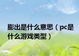 膨出是什么意思（pc是什么游戏类型）