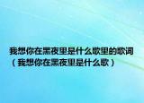 我想你在黑夜里是什么歌里的歌词（我想你在黑夜里是什么歌）