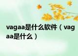 vagaa是什么软件（vagaa是什么）