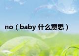 no（baby 什么意思）