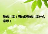雅俗共赏（男的说雅俗共赏什么意思）