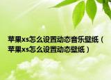 苹果xs怎么设置动态音乐壁纸（苹果xs怎么设置动态壁纸）