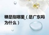 穗是指哪里（是广东吗 为什么）