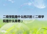 二级学院是什么档次的（二级学院是什么意思）