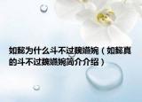 如懿为什么斗不过魏嬿婉（如懿真的斗不过魏嬿婉简介介绍）