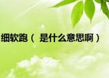 细软跑（ 是什么意思啊）
