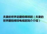 夫妻的世界是翻拍哪部剧（夫妻的世界翻拍哪部电视剧简介介绍）
