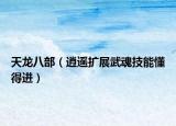 天龙八部（逍遥扩展武魂技能懂得进）