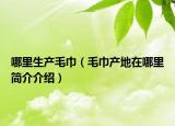哪里生产毛巾（毛巾产地在哪里简介介绍）