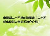 电视剧二十不惑的演员表（二十不惑电视剧人物关系简介介绍）