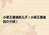 小梁王是谁的儿子（小梁王是谁简介介绍）