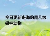 今日更新斑海豹是几级保护动物
