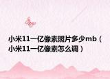 小米11一亿像素照片多少mb（小米11一亿像素怎么调）