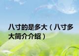 八寸的是多大（八寸多大简介介绍）