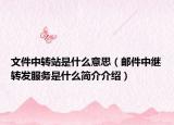 文件中转站是什么意思（邮件中继转发服务是什么简介介绍）