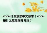 vocal什么意思中文意思（vocal是什么意思简介介绍）