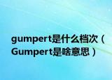 gumpert是什么档次（Gumpert是啥意思）