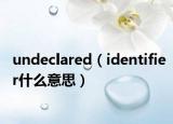 undeclared（identifier什么意思）
