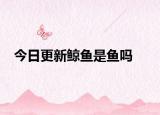 今日更新鲸鱼是鱼吗