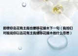 即使你名花有主我也要移花接木下一句（我哥们对我说你以名花有主我便移花接木他什么意思）
