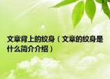 文章背上的纹身（文章的纹身是什么简介介绍）