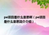 pe项目是什么意思啊（pe项目是什么意思简介介绍）