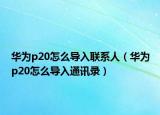 华为p20怎么导入联系人（华为p20怎么导入通讯录）