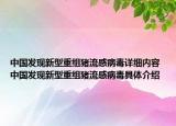 中国发现新型重组猪流感病毒详细内容 中国发现新型重组猪流感病毒具体介绍