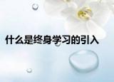 什么是终身学习的引入