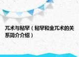 兀术与粘罕（粘罕和金兀术的关系简介介绍）