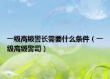 一级高级警长需要什么条件（一级高级警司）