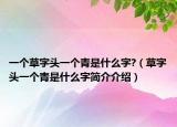 一个草字头一个青是什么字?（草字头一个青是什么字简介介绍）