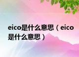 eico是什么意思（eico是什么意思）