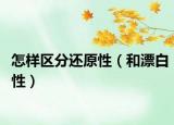 怎样区分还原性（和漂白性）