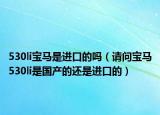 530li宝马是进口的吗（请问宝马530li是国产的还是进口的）