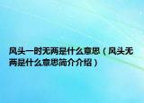 风头一时无两是什么意思（风头无两是什么意思简介介绍）