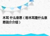 木耳 什么意思（粉木耳是什么意思简介介绍）