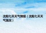 沈阳七天天气预报（沈阳七天天气情况）