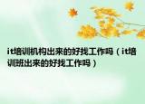 it培训机构出来的好找工作吗（it培训班出来的好找工作吗）