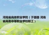 河南省商务职业学院（于璐璐 河南省商务中等职业学校职工）