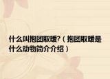 什么叫抱团取暖?（抱团取暖是什么动物简介介绍）