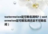 watermelon是可数名词吗?（watermelon是可数名词还是不可数名词）