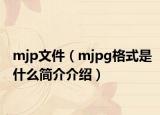 mjp文件（mjpg格式是什么简介介绍）