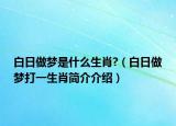 白日做梦是什么生肖?（白日做梦打一生肖简介介绍）