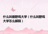 什么叫做野鸡大学（什么叫野鸡大学怎么解释）