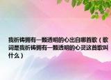 我祈祷拥有一颗透明的心出自哪首歌（歌词是我祈祷拥有一颗透明的心灵这首歌叫什么）