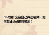dnf为什么会自己弹出视频（如何禁止dnf视频弹出）