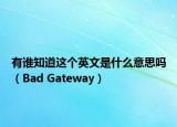 有谁知道这个英文是什么意思吗（Bad Gateway）
