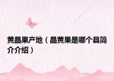 黄晶果产地（晶黄果是哪个县简介介绍）