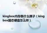 kingbox内存条什么牌子（kingbox固态硬盘怎么样）